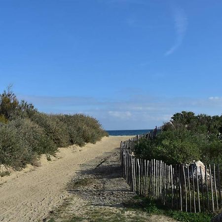 סן סיפריאן Les Goelettes - Appartement En Rdc Avec Acces Direct A La Plage מראה חיצוני תמונה